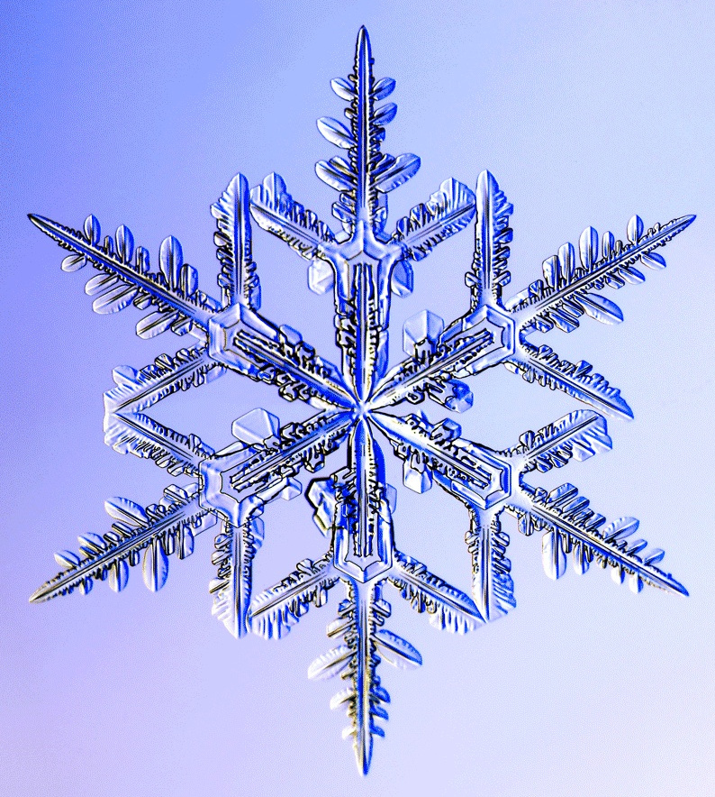 Snowflake Images Snowflake Images