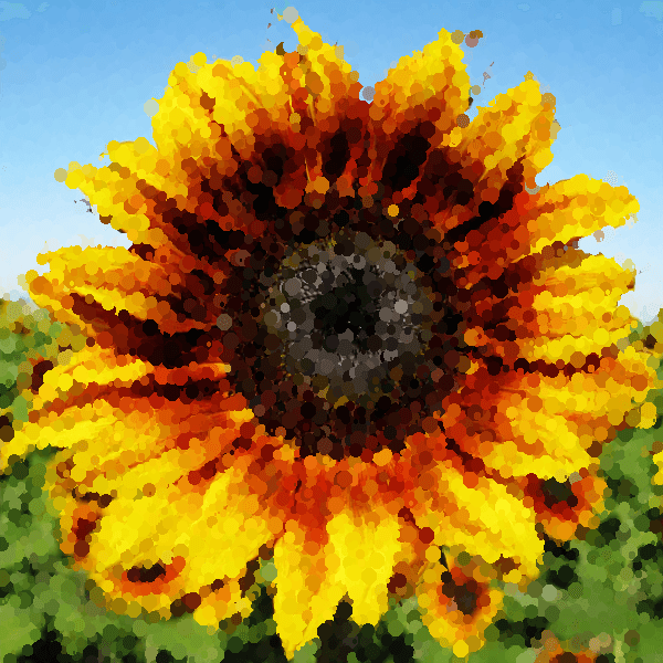 C++ Bitmap Library Pointillism Effect Sunflower - By Arash Partow