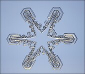 Snowflake Crystal 01