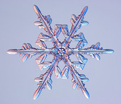 Snowflake Crystal 04