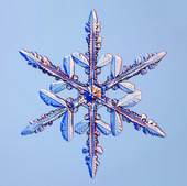 Snowflake Crystal 05