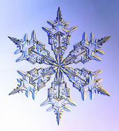 Snowflake Crystal 06