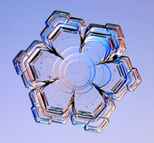 Snowflake Crystal 08