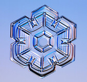 Snowflake Crystal 09