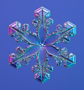 Snowflake Crystal 10