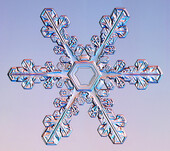 Snowflake Crystal 11