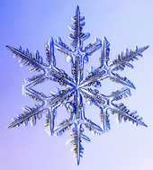 Snowflake Crystal 13