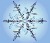 Snowflake Crystal 14