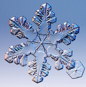 Snowflake Crystal 15