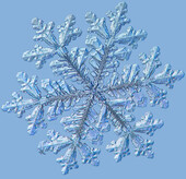 Snowflake Crystal 18