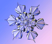 Snowflake Crystal 20