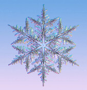 Snowflake Crystal 24